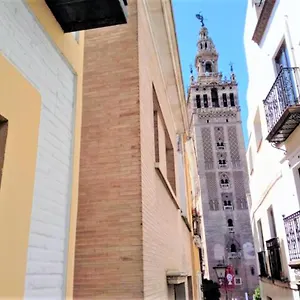 Apartment ¡en Frente De La Giralda-catedral!, Seville